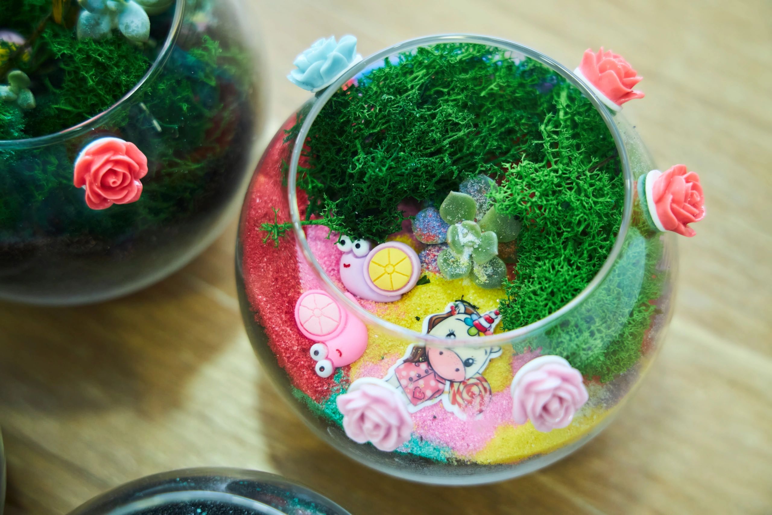 terrarium with succulents
